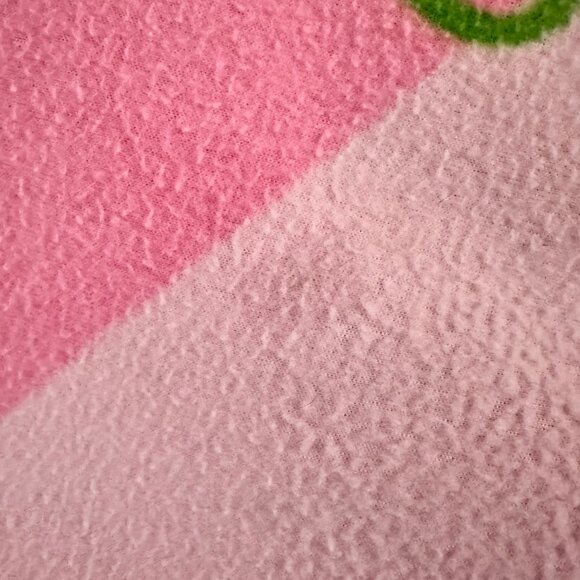 Vintage 2003 Strawberry Shortcake Blanket Throw 62 in x 44 Y2K Christmas Gift - Picture 12 of 12